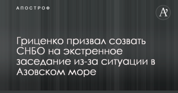Гриценко вимагає скликати екстрене засідання РНБО через ситуацію в Азовському морі