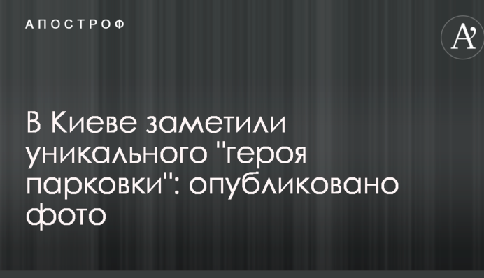 У Києві помітили унікального 