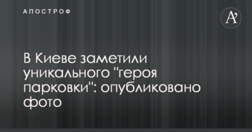 У Києві помітили унікального "героя парковки": опубліковано фото