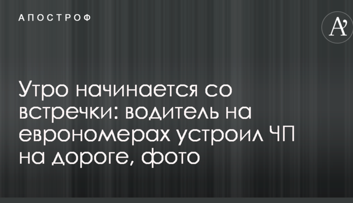 Утро начинается со встречки: водитель на еврономерах устроил ЧП на дороге, фото