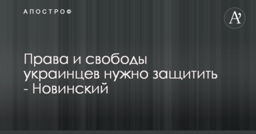 Права и свободы украинцев нужно защитить - Новинский