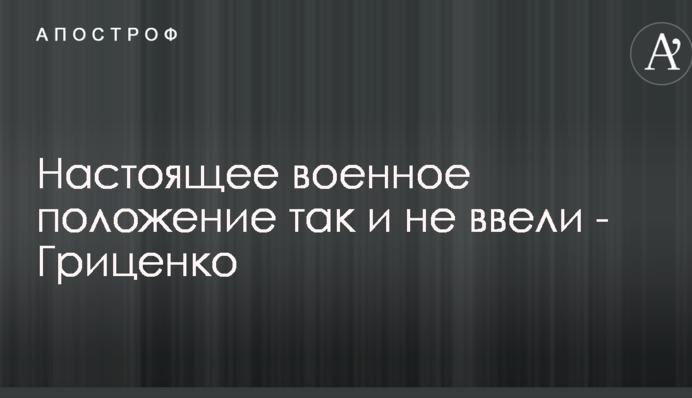 Настоящее военное положение так и не ввели - Гриценко