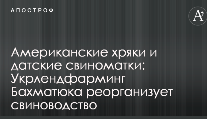 Американские хряки и датские свиноматки: Укрлендфарминг Бахматюка реорганизует свиноводство