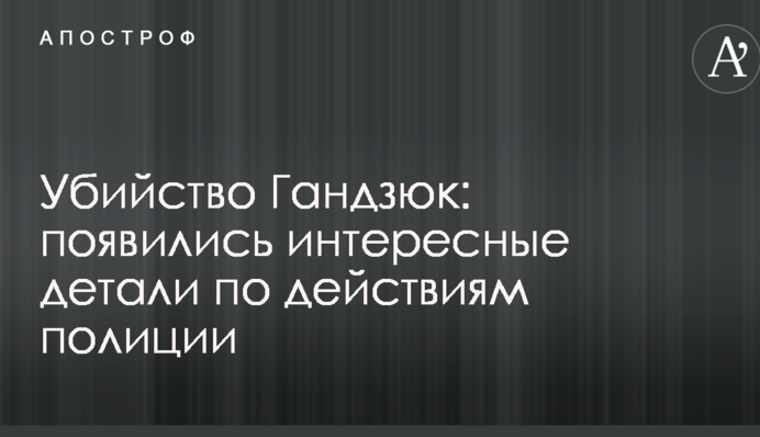 Убийство Гандзюк: появились интересные детали по действиям полиции