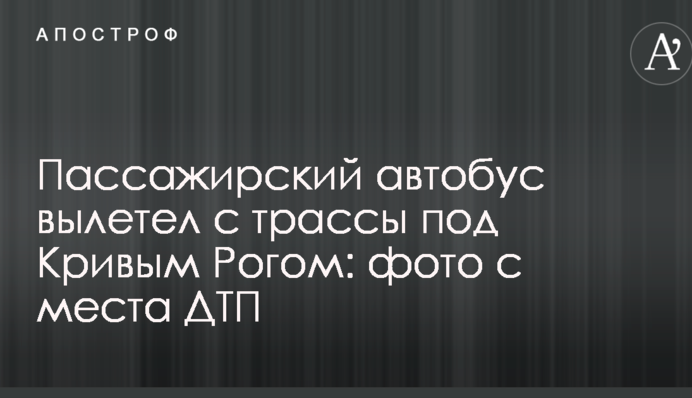 Пасажирський автобус вилетів з траси під Кривим Рогом: фото з місця ДТП