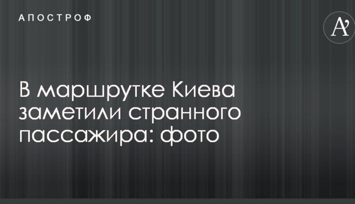 В маршрутке Киева заметили странного пассажира: фото