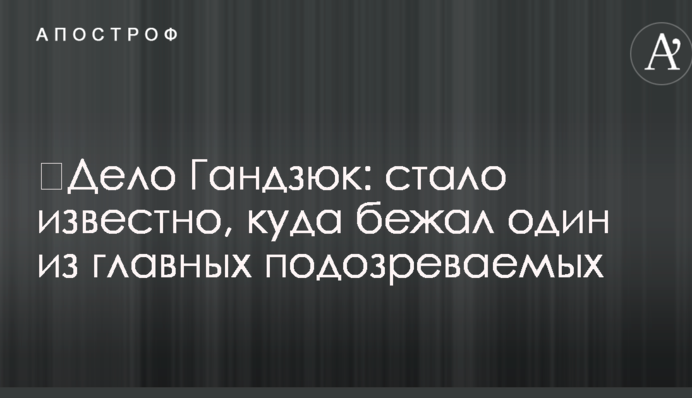 ​Справа Гандзюк: стало відомо, куди втік один із головних підозрюваних