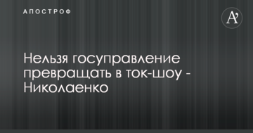 Нельзя госуправление превращать в ток-шоу - Николаенко
