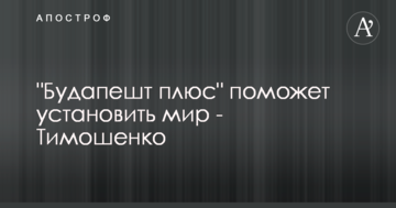 "Будапешт плюс" допоможе встановити мир - Тимошенко