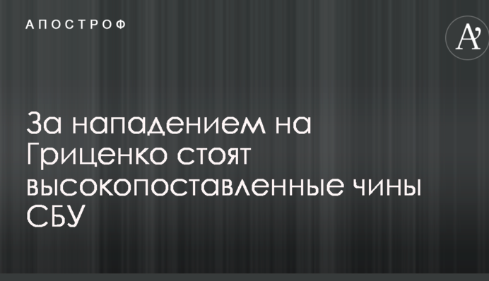 Стало известно, кто стоит за нападением на Гриценко