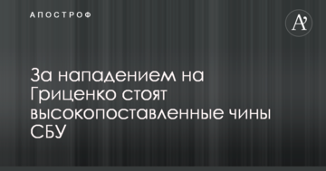 Стало відомо, хто стоїть за нападом на Гриценка