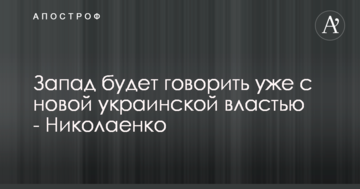 Запад будет говорить уже с новой украинской властью - Николаенко