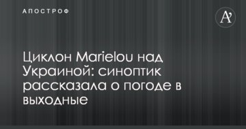 У Києві зловили цвинтарного злодія: фото