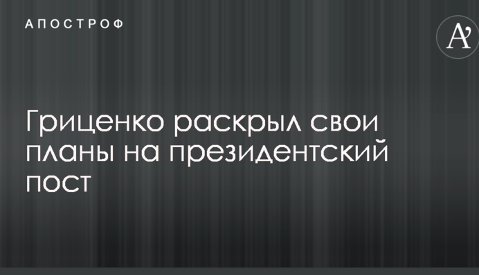 Гриценко розкрив свої плани на президентський пост