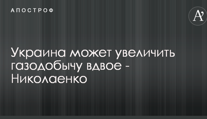 Украина может увеличить газодобычу вдвое - Николаенко