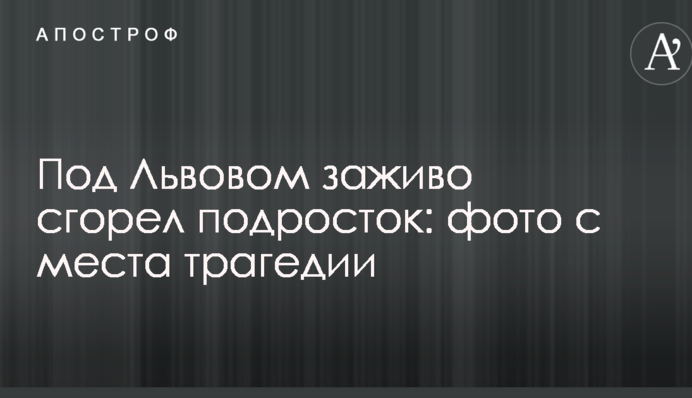 Под Львовом заживо сгорел подросток: фото с места трагедии