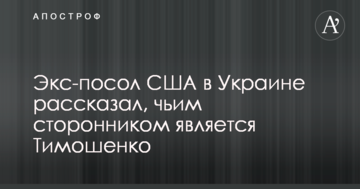 Екс-посол США в Україні розповів, чиїм прихильником є ​​Тимошенко