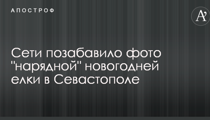 Мережі потішило фото 