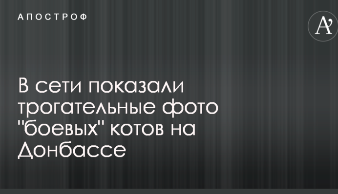 В сети показали трогательные фото 
