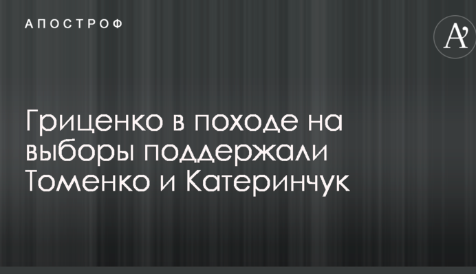 Гриценко в походе на выборы поддержали Томенко и Катеринчук