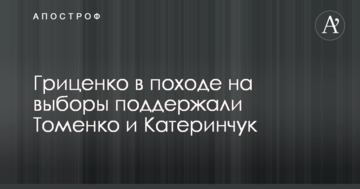 Гриценко в поході на вибори підтримали Томенко і Катеринчук