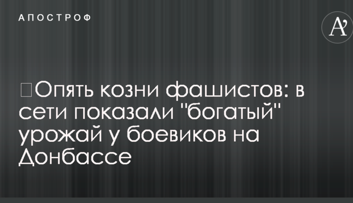 ​Опять козни фашистов: в сети показали 