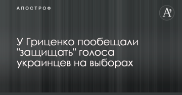 У Гриценко пообіцяли "захищати" голоси українців на виборах
