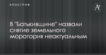 У "Батьківщині" назвали зняття земельного мораторію неактуальним