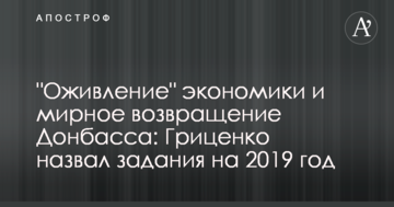 "Пожвавлення" економіки і мирне повернення Донбасу: Гриценко назвав завдання на 2019 рік
