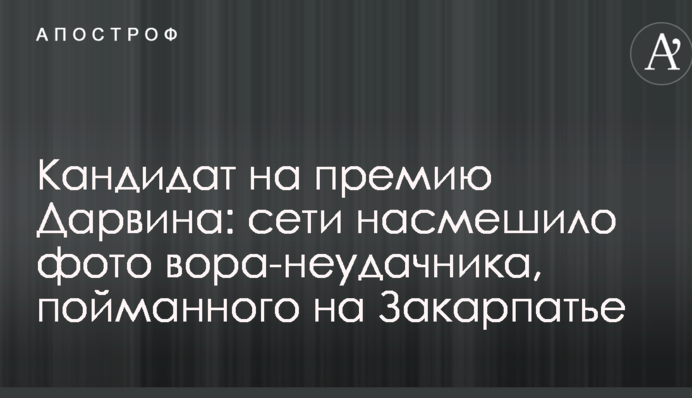 Кандидат на премію Дарвіна: мережі насмішила фото злодія-невдахи, якого впіймали на Закарпатті
