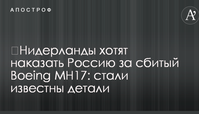 ​Нідерланди хочуть покарати Росію за збитий Boeing MH17: стало відомо деталі