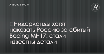 ​Нідерланди хочуть покарати Росію за збитий Boeing MH17: стало відомо деталі