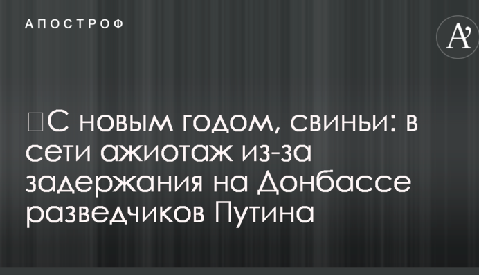 ​С новым годом, свиньи: в сети ажиотаж из-за задержания на Донбассе разведчиков Путина