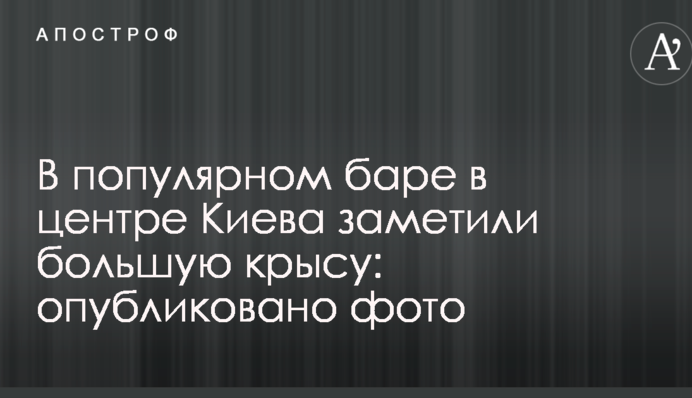 В популярном баре в центре Киева заметили большую крысу: опубликовано фото