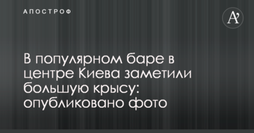 У популярному барі в центрі Києва помітили великого щура: опубліковано фото
