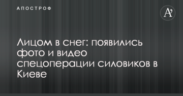 Обличчям у сніг: з'явилися фото і відео спецоперації силовиків в Києві