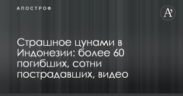 Страшне цунамі в Індонезії: понад 60 загиблих, сотні постраждалих, відео