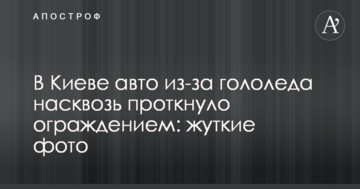 ​У Києві авто через ожеледь наскрізь проткнуло огорожею: моторошні фото