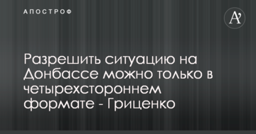 Розв'язати ситуацію на Донбасі можна тільки в чотирибічному форматі - Гриценко