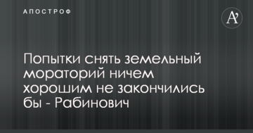 Попытки снять земельный мораторий ничем хорошим не закончились бы - Рабинович