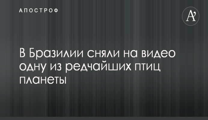 Політолог назвав Тимошенко ймовірною переможницею на виборах президента