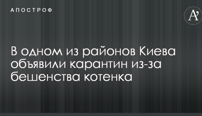 В одном из районов Киева объявили карантин из-за бешенства котенка