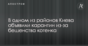 В одному з районів Києва оголосили карантин через сказ кошеня
