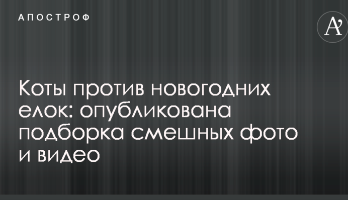 Коты против новогодних елок: опубликована подборка смешных фото и видео