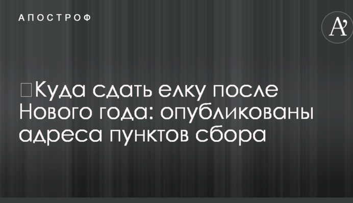 Куди здати ялинку після Нового року: опубліковано адреси пунктів збору