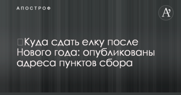 Куди здати ялинку після Нового року: опубліковано адреси пунктів збору