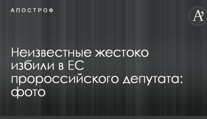 Неизвестные жестоко избили в ЕС пророссийского депутата: фото