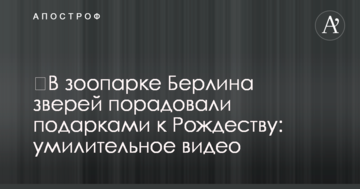 ​У зоопарку Берліна звірів порадували подарунками на Різдво: зворушливе відео