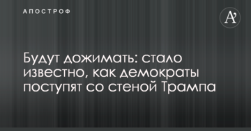 Будуть дотискати: стало відомо, як демократи вчинять зі стіною Трампа