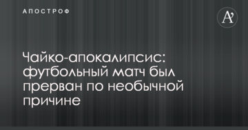 Чайко-апокалипсис: футбольный матч был прерван по необычной причине